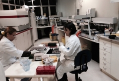 Technicians prepare blood samples to be screened with nucleic acid test at the Rio de Janeiro