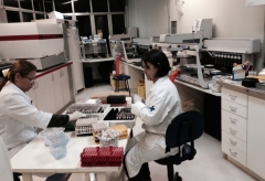 Technicians prepare blood samples to be screened with nucleic acid test at the Rio de Janeiro's blood center Hemorio. Photo by the author, 2015.